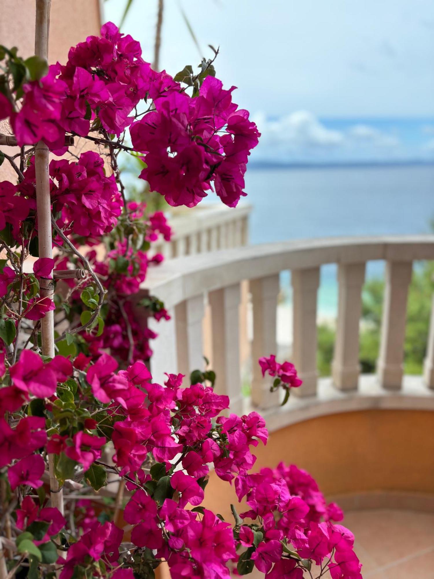 Villa Spomenka Podgora Exterior foto