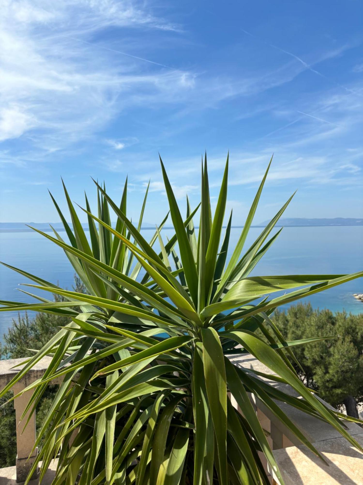 Villa Spomenka Podgora Exterior foto